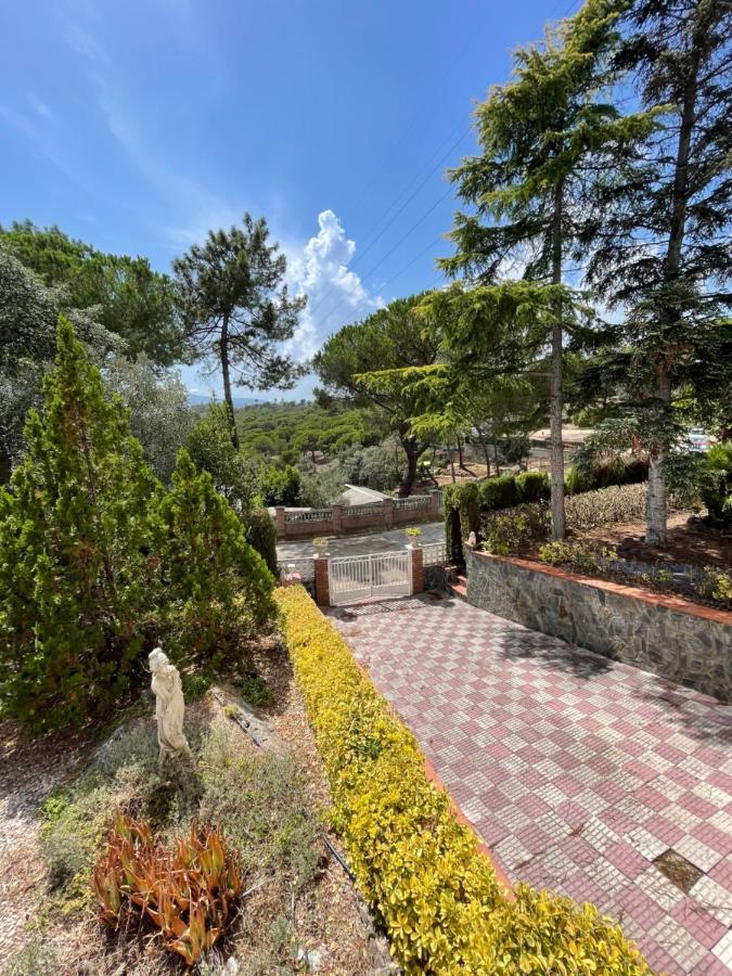 Villa Herlinda Costa Brava - With Swiming Pool Massanet De La Selva Exteriér fotografie