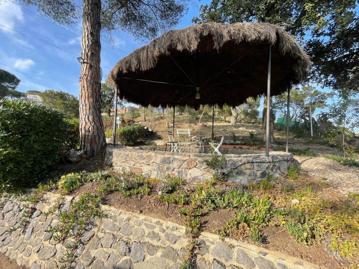 Villa Herlinda Costa Brava - With Swiming Pool Massanet De La Selva Exteriér fotografie